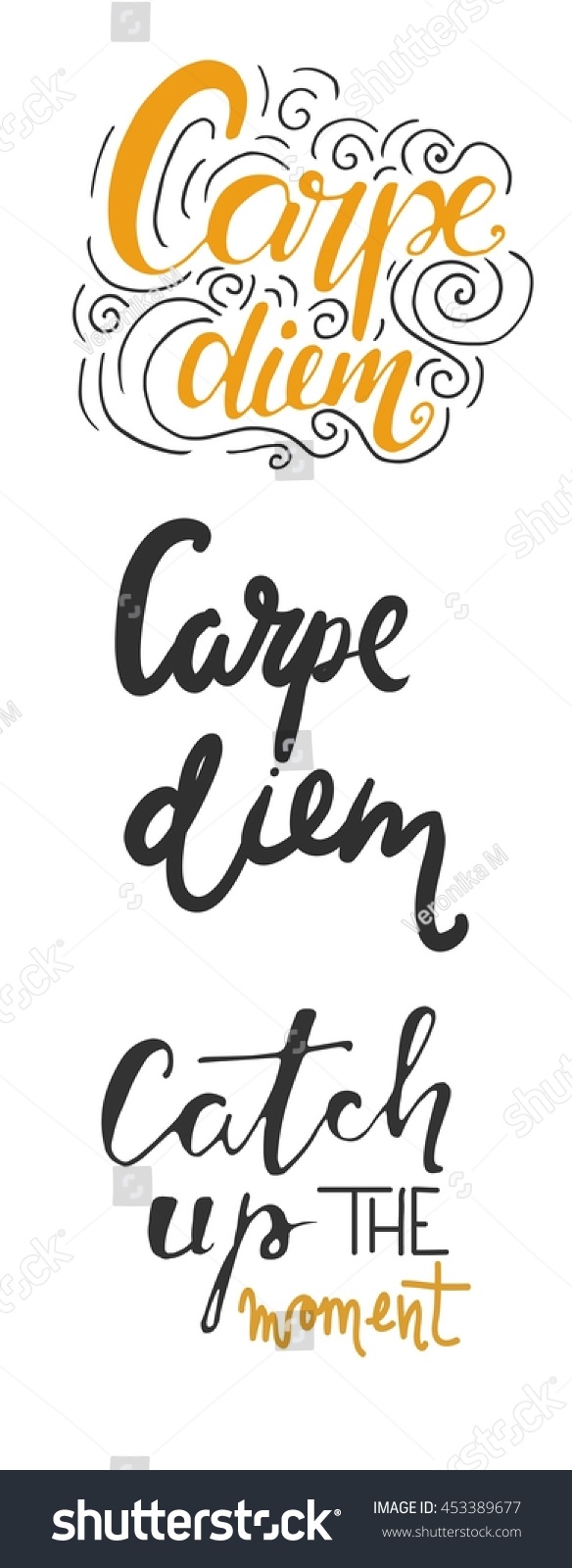 Carpe Diem Catch Moment Motivational Quotes Stock Vector Royalty Free