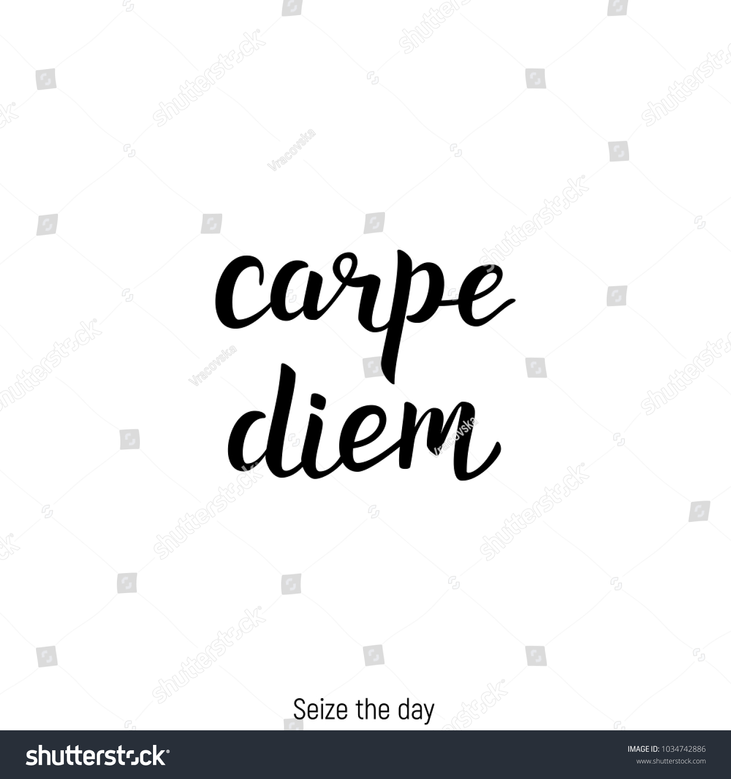 Carpe Diem Latin Quote Handwritten Lettering Vector de ...