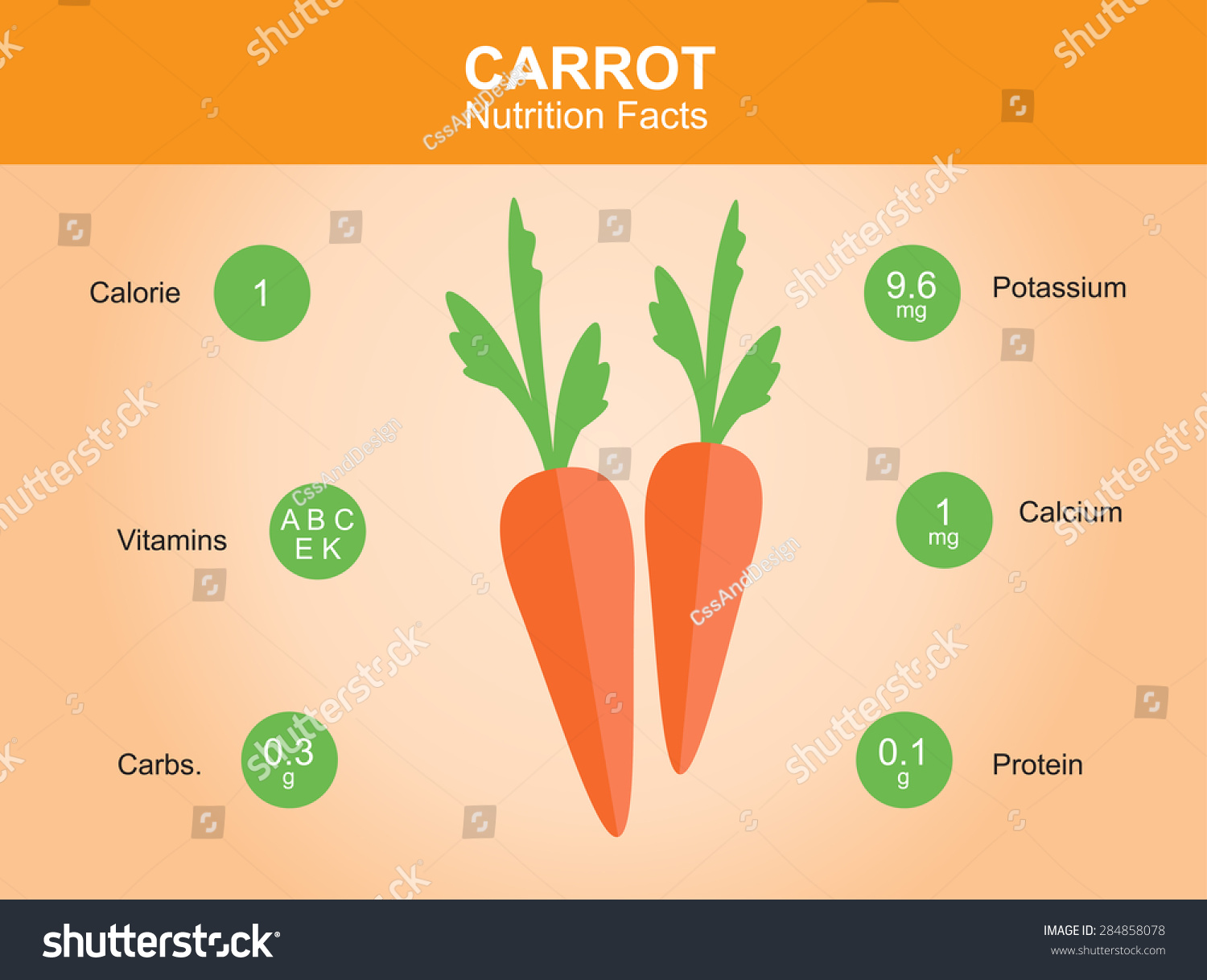 Carrot Nutrition Facts Carrot Information Carrot Stock Vector Royalty Free 284858078 8281