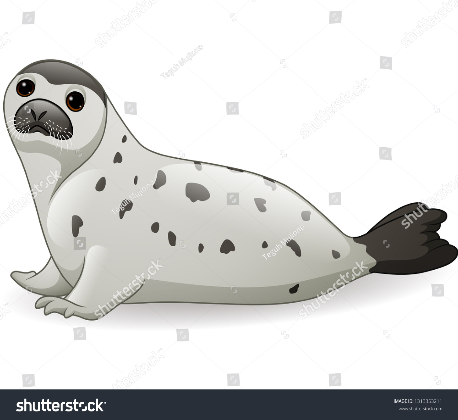 Cartoon Arctic Seal Isolated On White Vector De Stock Libre De