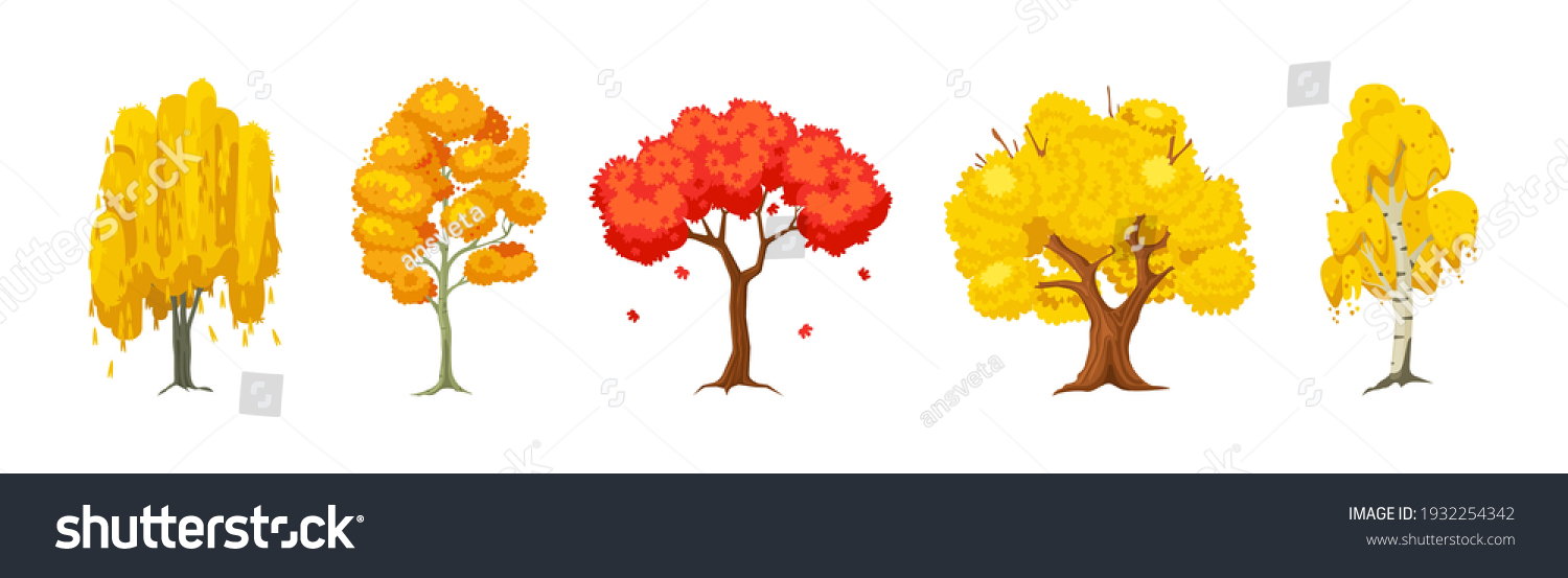 SVG of Cartoon autumn tree set. Aspen, birch, oak, maple, willow wood plants with leaf. Green big planting trees for garden forest park landscape cartoon isolated vector svg