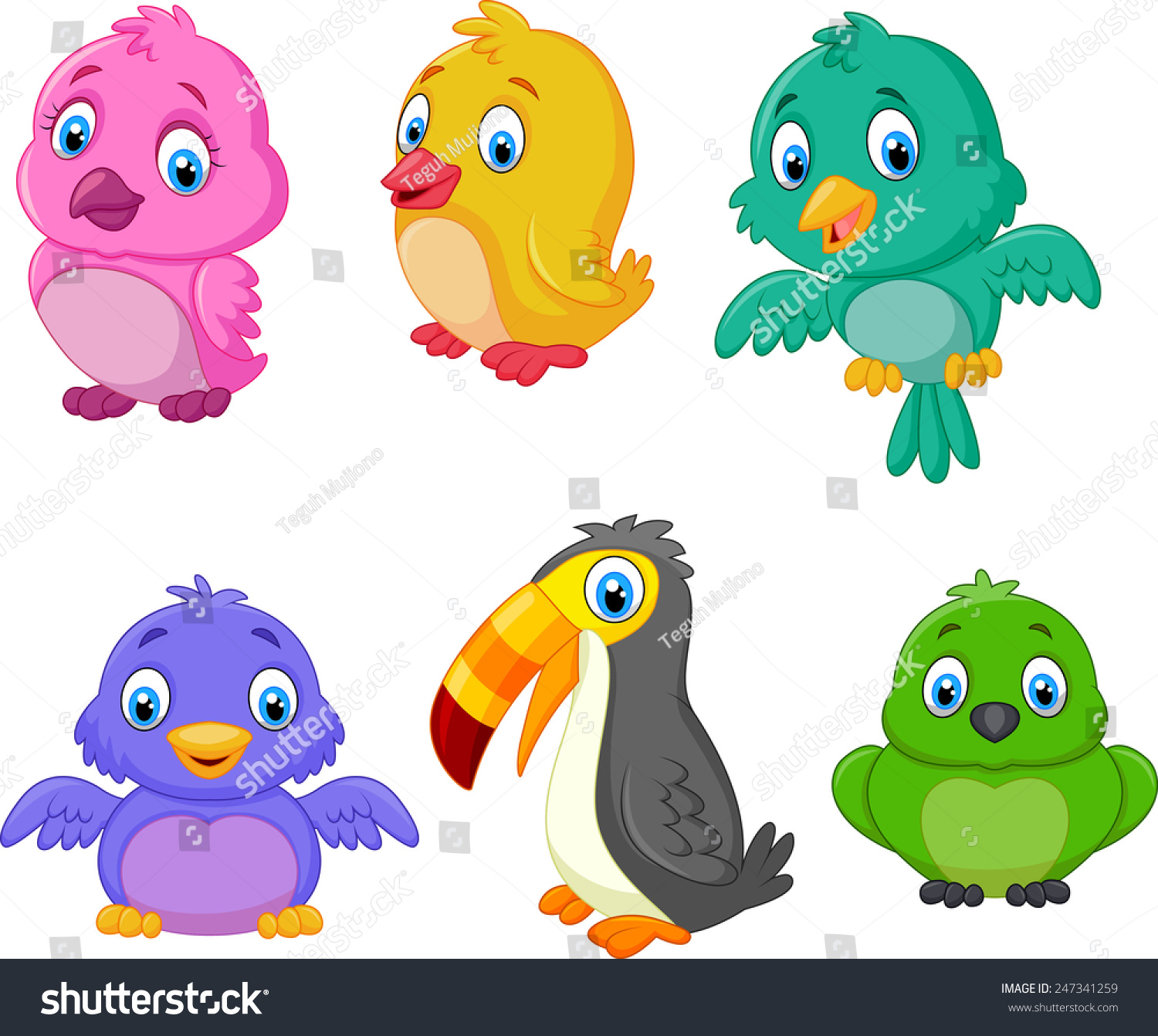 Cartoon Birds Collection Set Stock Vector 247341259 - Shutterstock