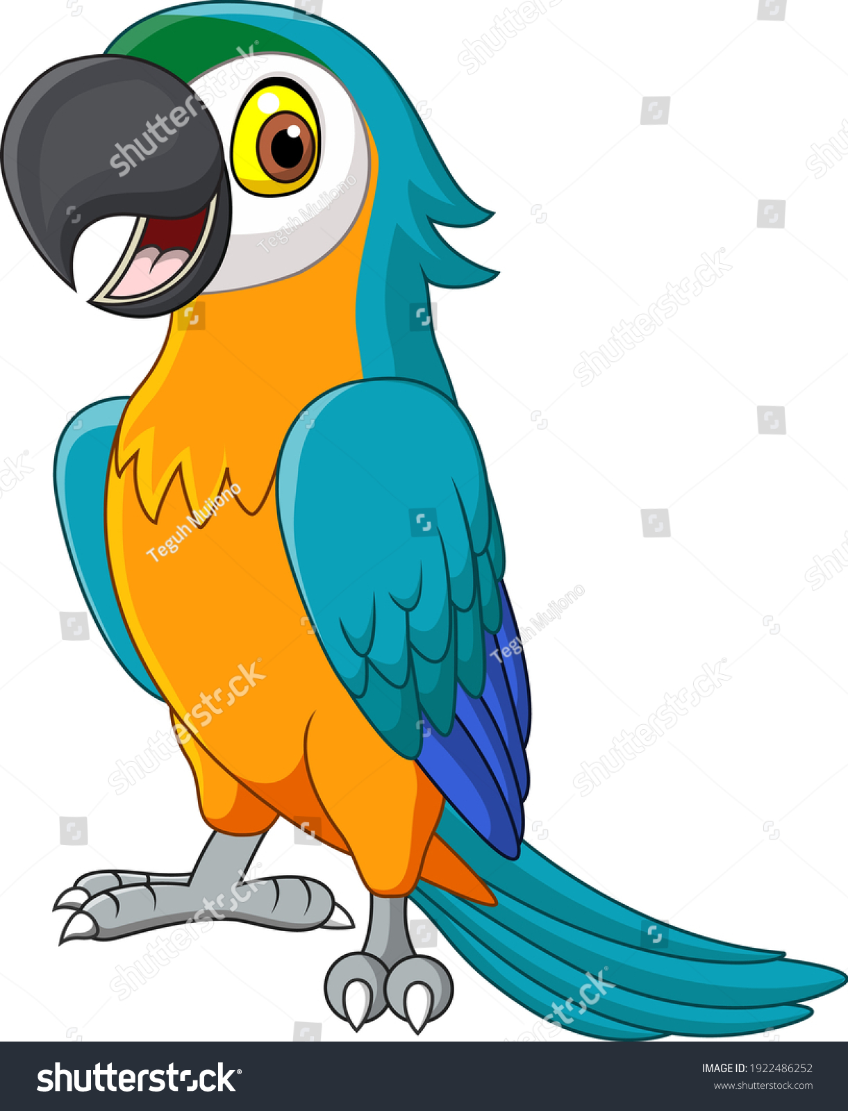 Cartoon Blue Macaw Isolated On White Stock Vector (Royalty Free ...