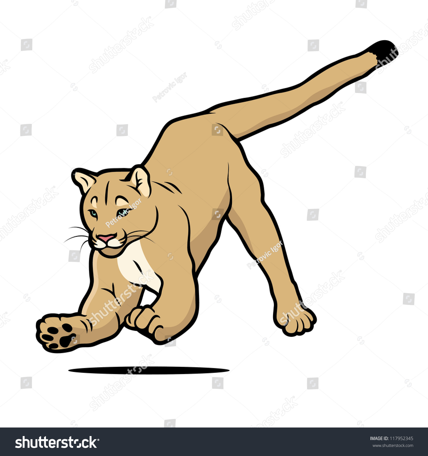 Cartoon Cougar - Vector Illustration - 117952345 : Shutterstock