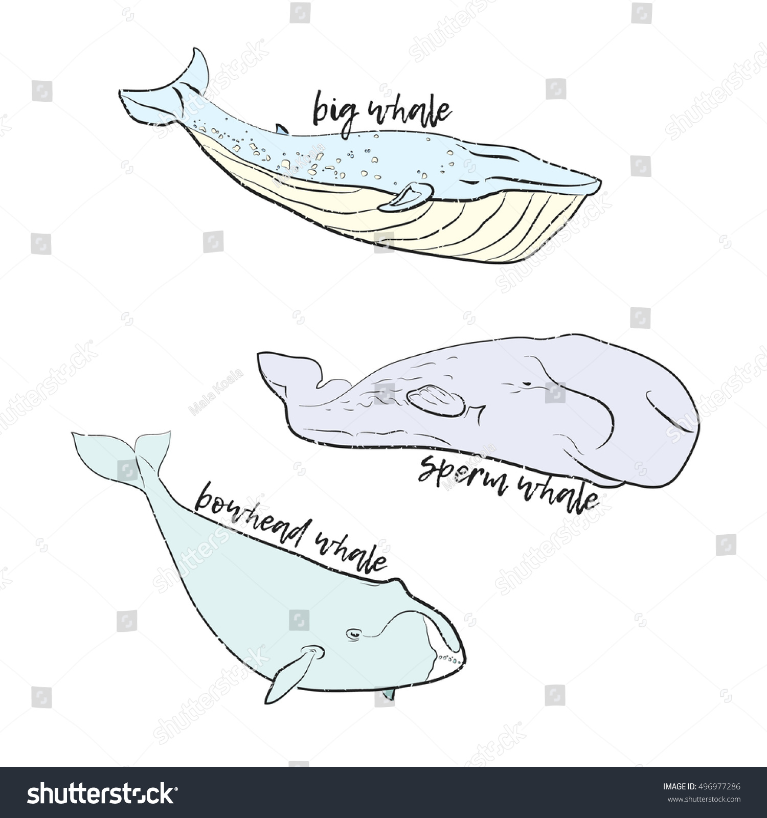 Cartoon Cute Whales Vector Set Sketchy Stock Vector (Royalty Free ...