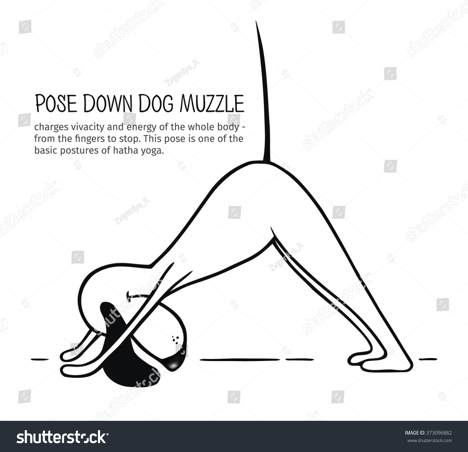 Cartoon Dogs Show Pose Downward Facing Stock Vector (Royalty Free ...