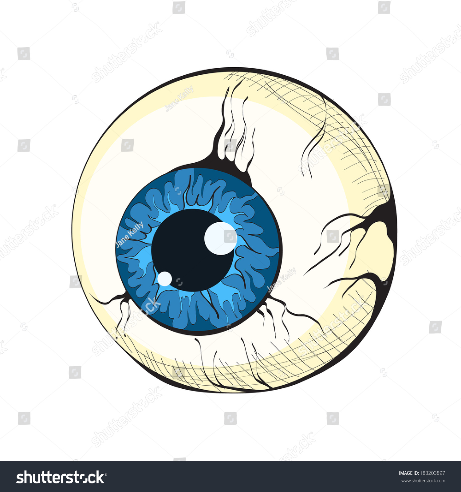 Cartoon Eyes Stock Vector 183203897 - Shutterstock