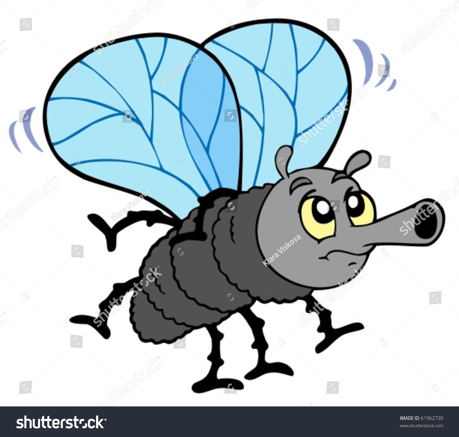 Cartoon Fly On White Background Vector Stock Vector 61962730 - Shutterstock