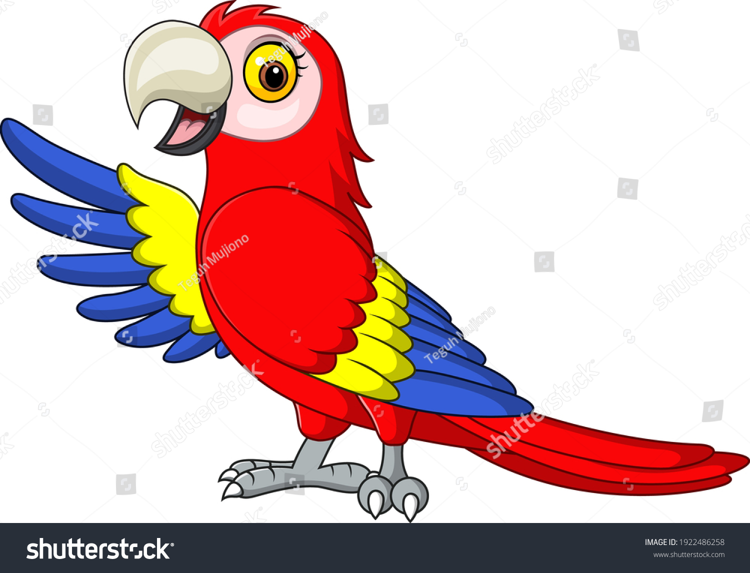 Cartoon-parrot Stock Vectors, Images & Vector Art 