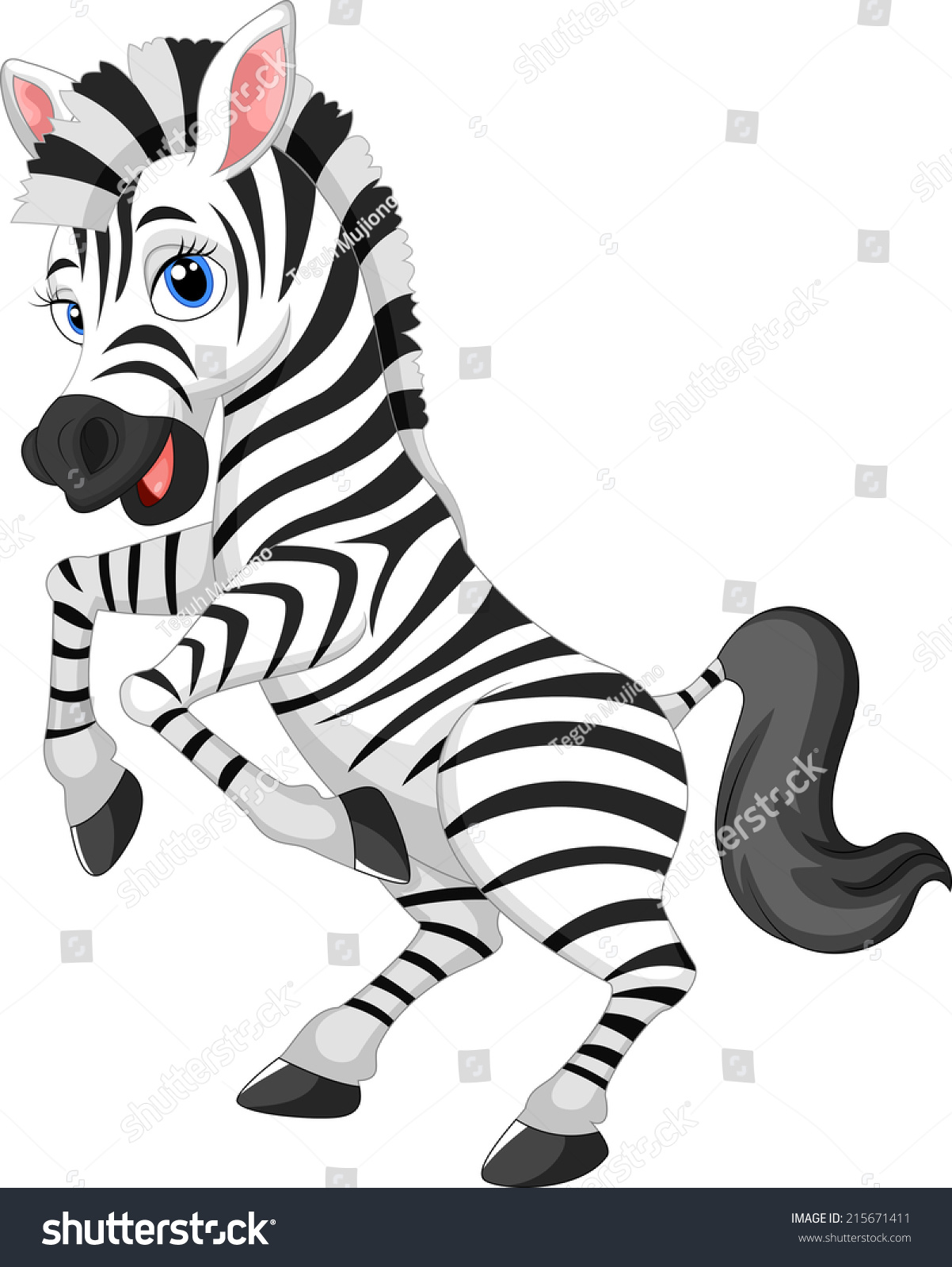 Cartoon Funny Zebra On White Background Stock Vector (Royalty Free ...