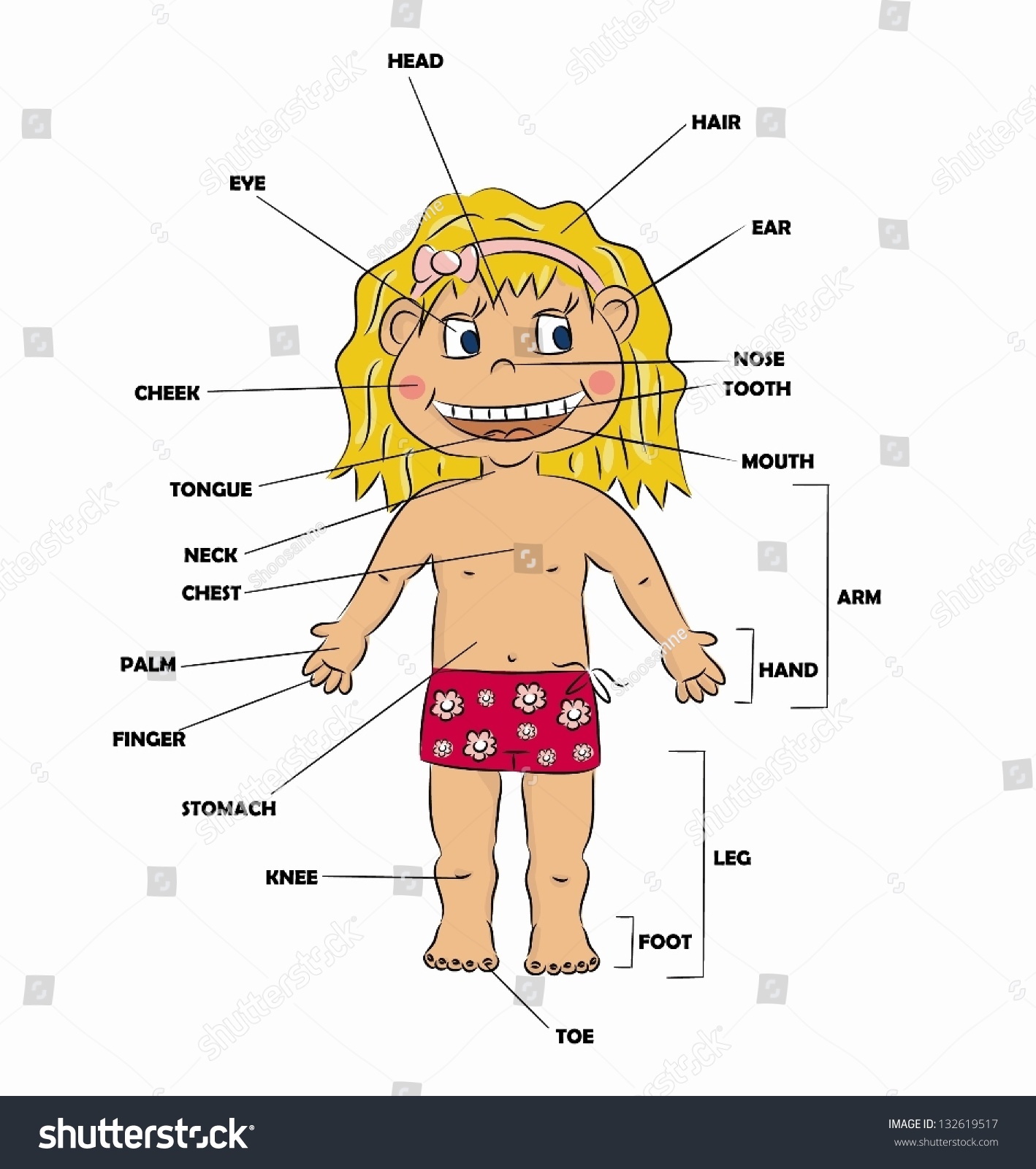 Cartoon Girl - Body Parts (Vector) - 132619517 : Shutterstock