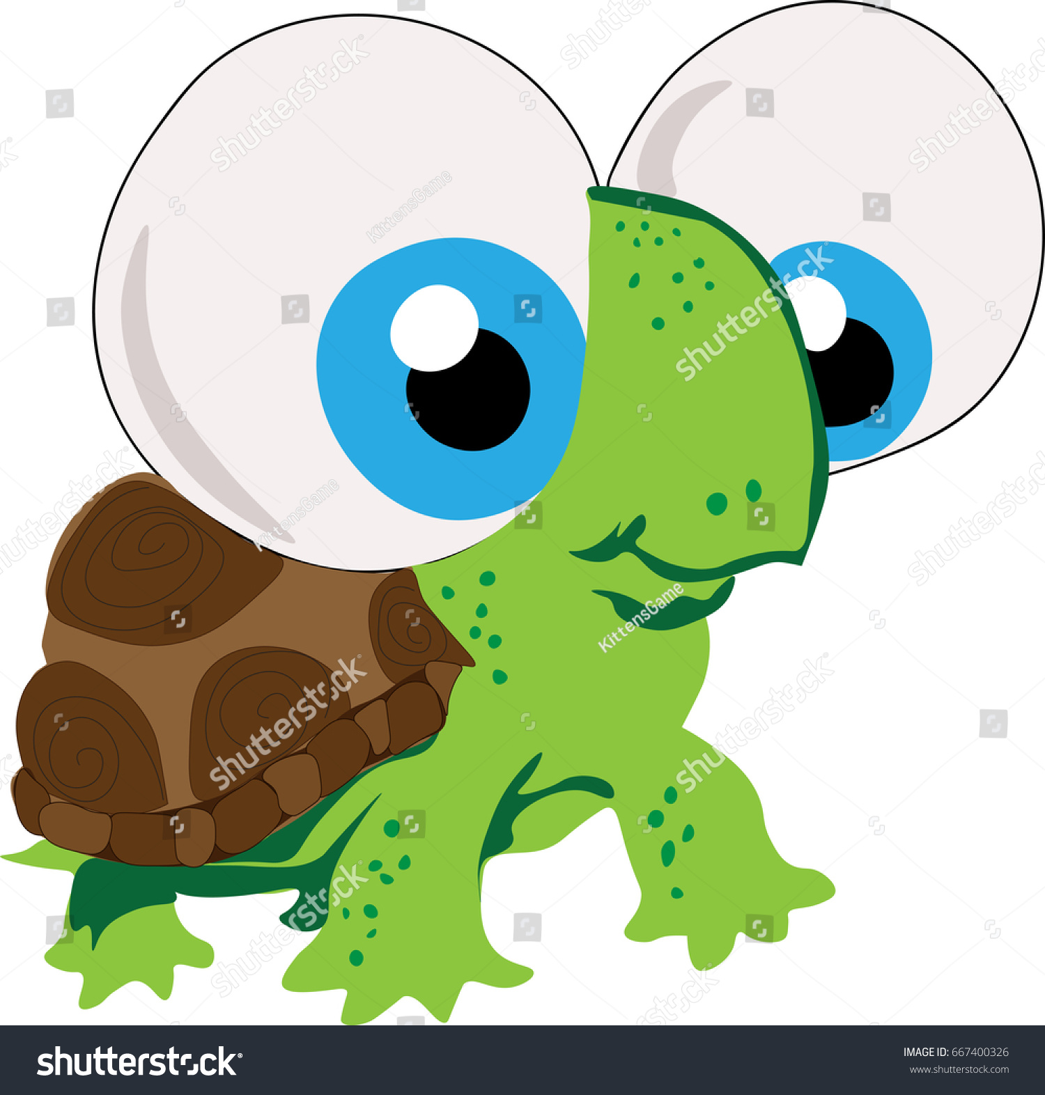 big eyed turtle