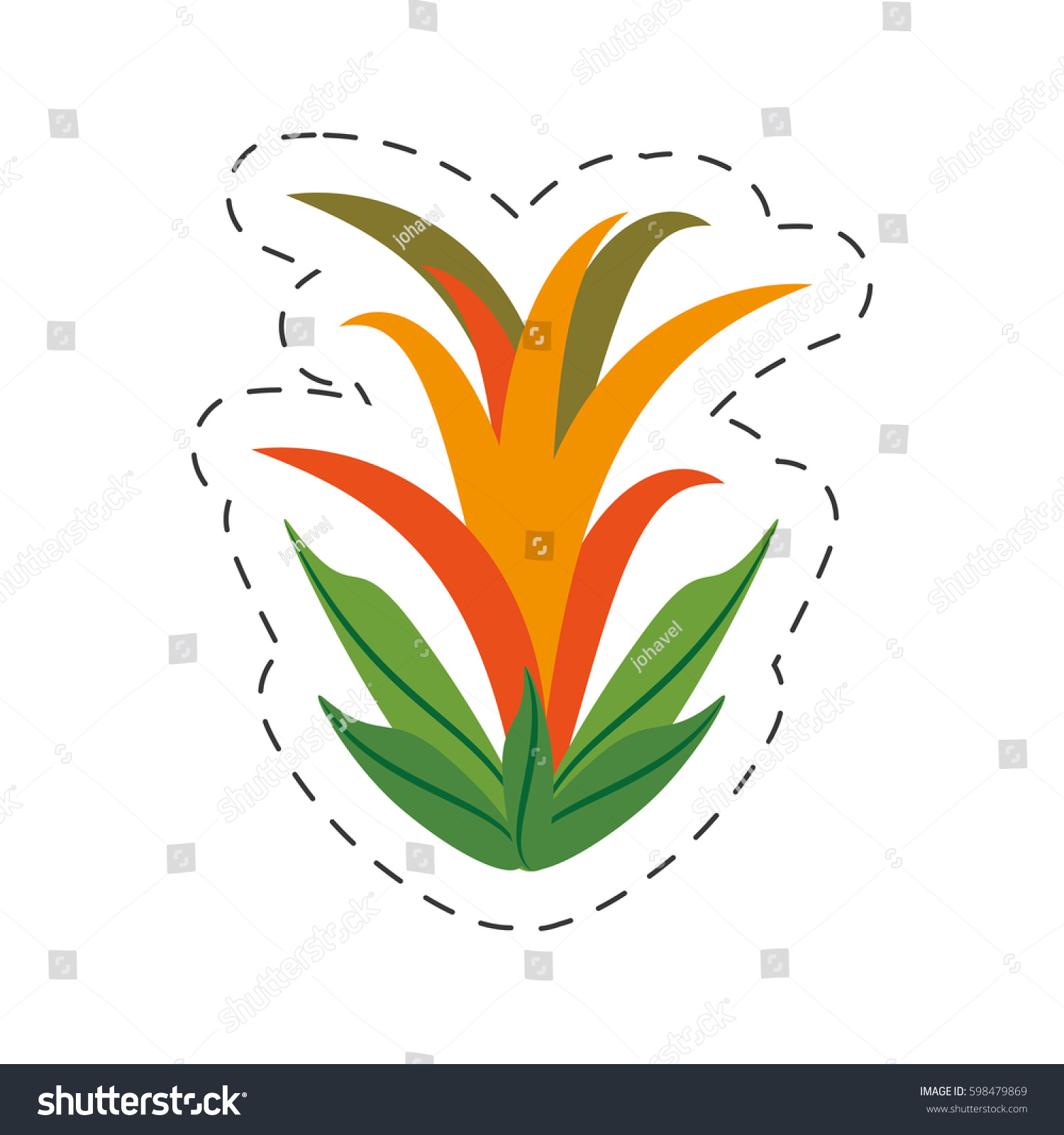 Cartoon Guzmania Flower Image Vector Illustration Stock Vector (Royalty