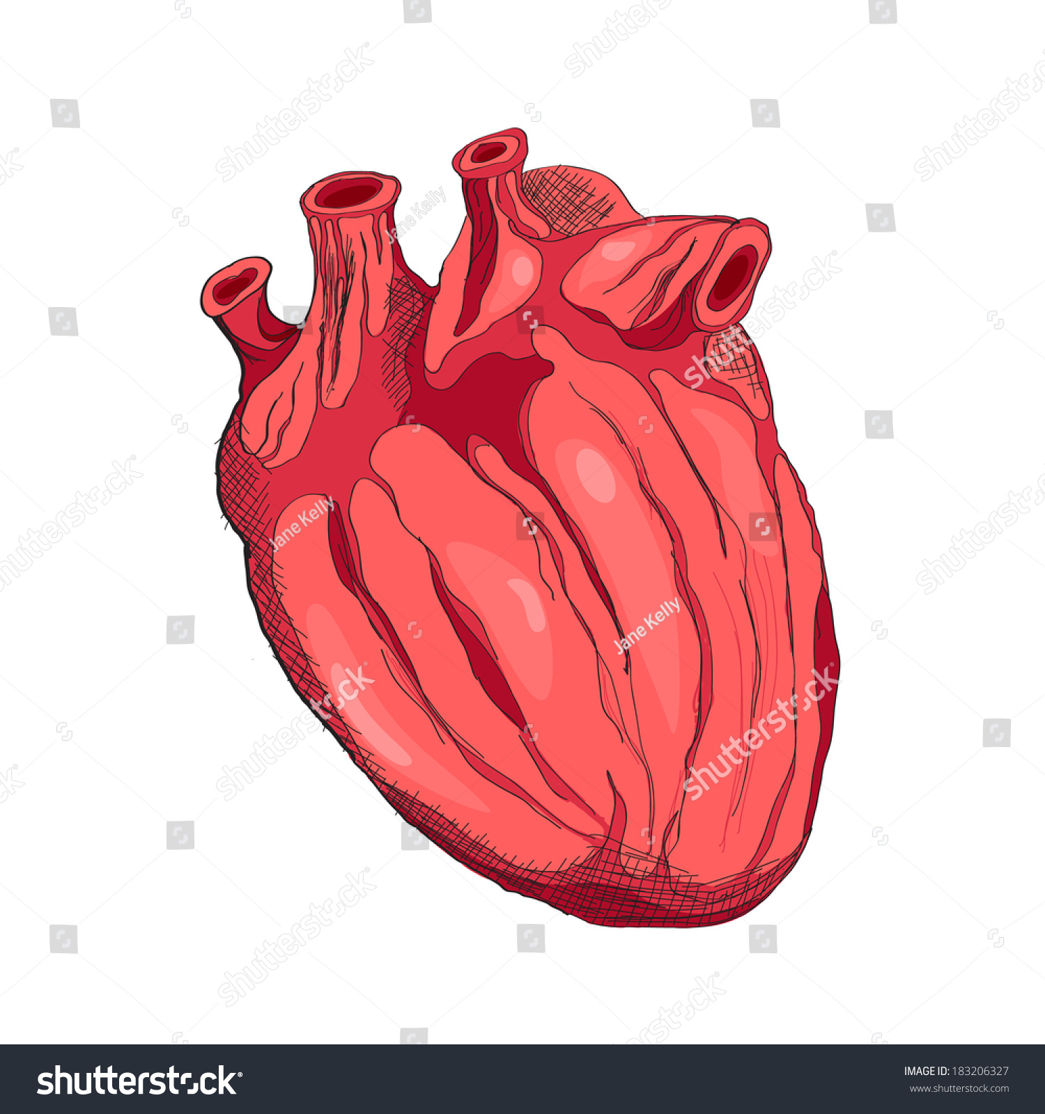 Cartoon Heart Stock Vector (Royalty Free) 183206327 | Shutterstock