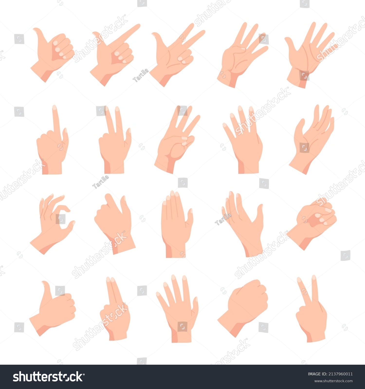 Cartoon Human Female Male Hands Poses Stock Vector (Royalty Free ...