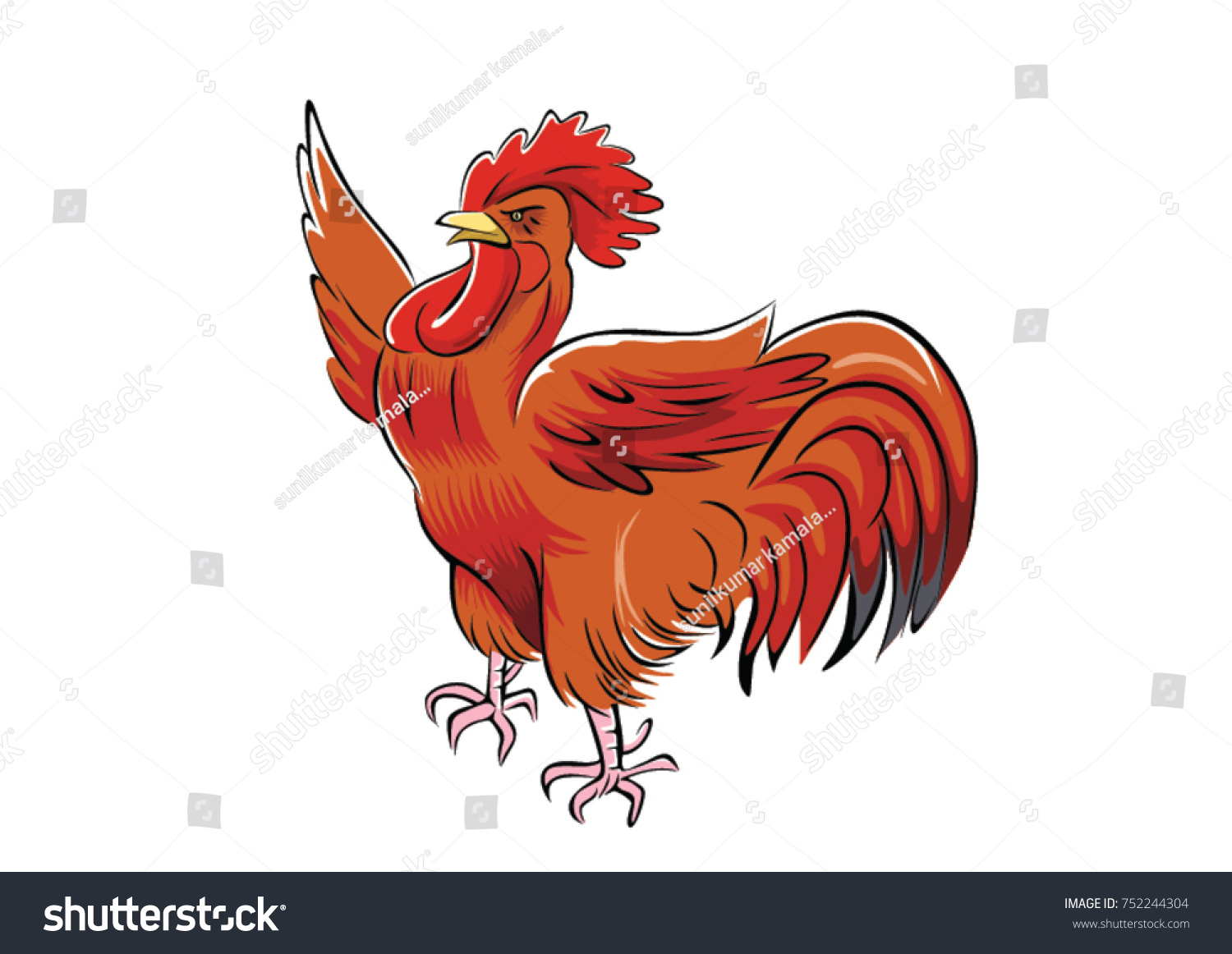 Cartoon Illustrations Cock Rooster Chicken Stock Vector Royalty Free 752244304 Shutterstock 1174