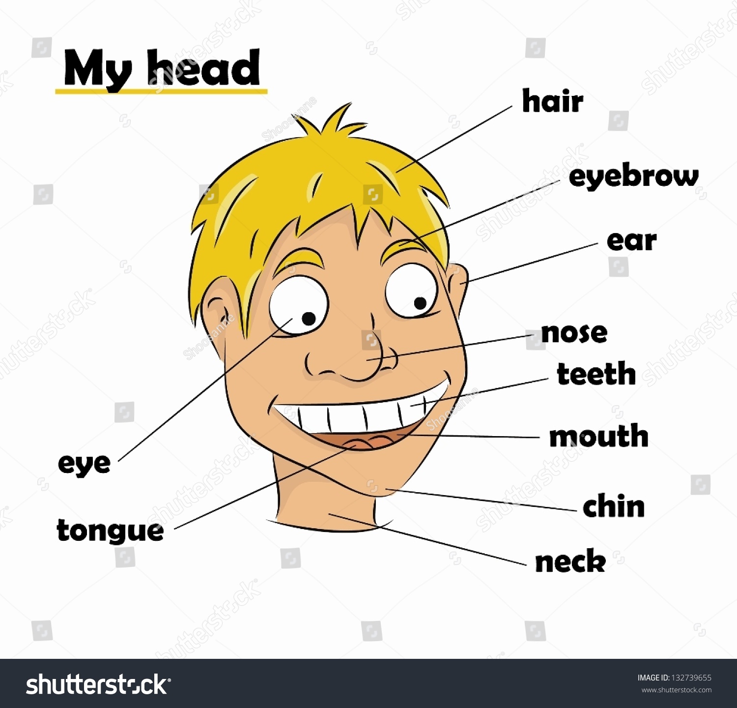 Cartoon Parts Head Vector Stock Vector 132739655 - Shutterstock