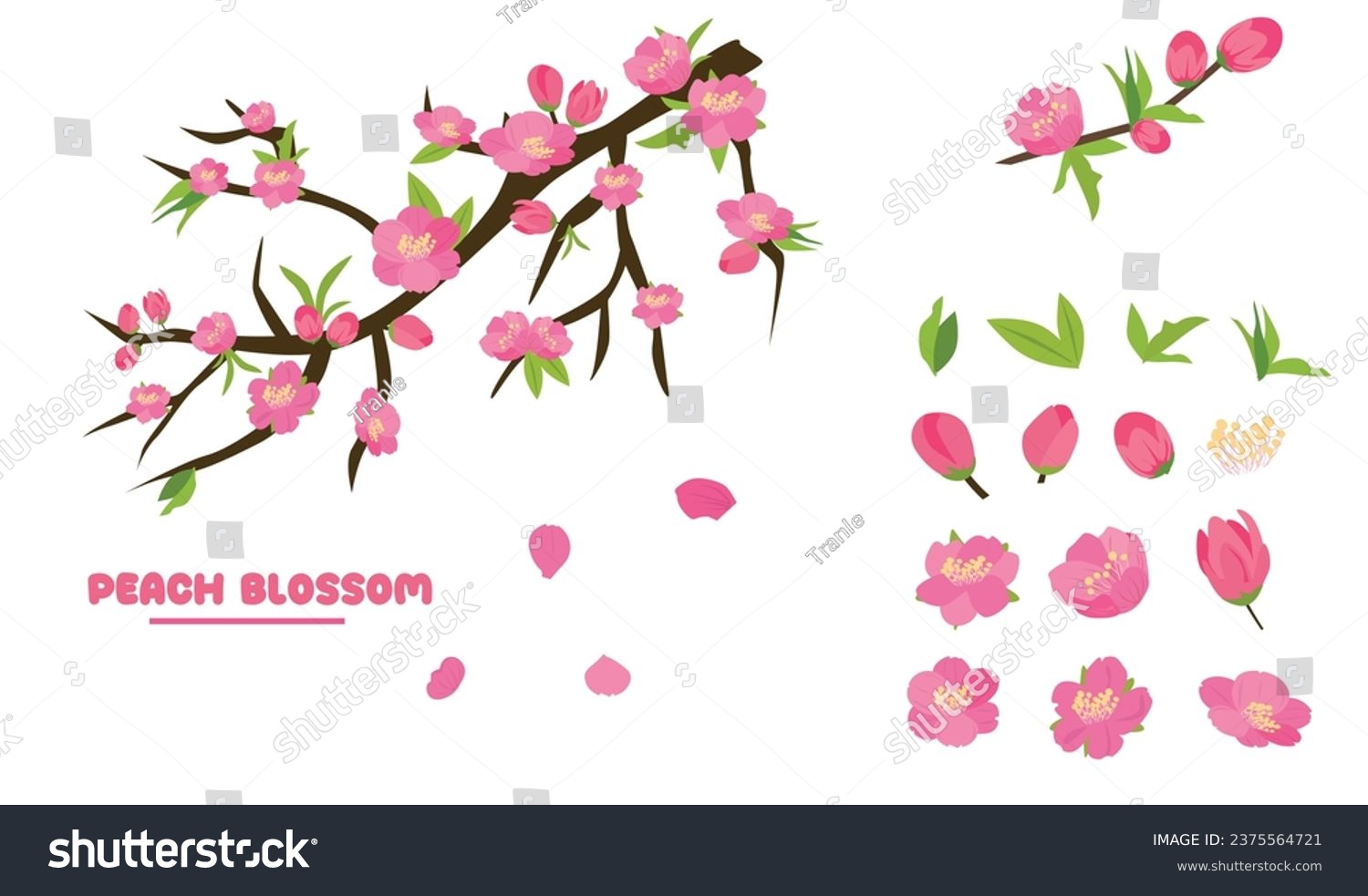 SVG of Cartoon peach blossom vector set with flower, leaf, bud, tree branch. Cherry blossom vector. Spring flower.Tet flower. Vietnam traditional new year flower, hoa dao. Flat vector in cartoon style. svg