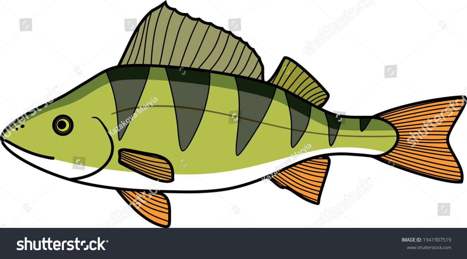 Cartoon Perch Perca Fluviatilis Freshwater Fish Stock Vector (Royalty ...