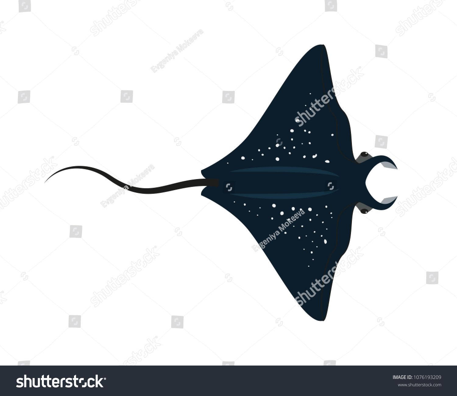 Cartoon Stingray Fish On White Background Stock Vector (Royalty Free ...