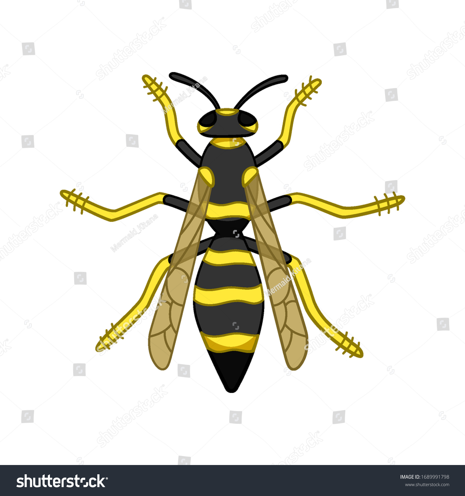 Cartoon Style Top View Wasp Isolated Stock Vector (Royalty Free ...