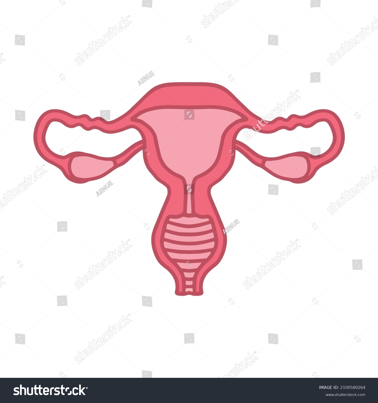 Genital cartoon Images, Stock Photos & Vectors | Shutterstock