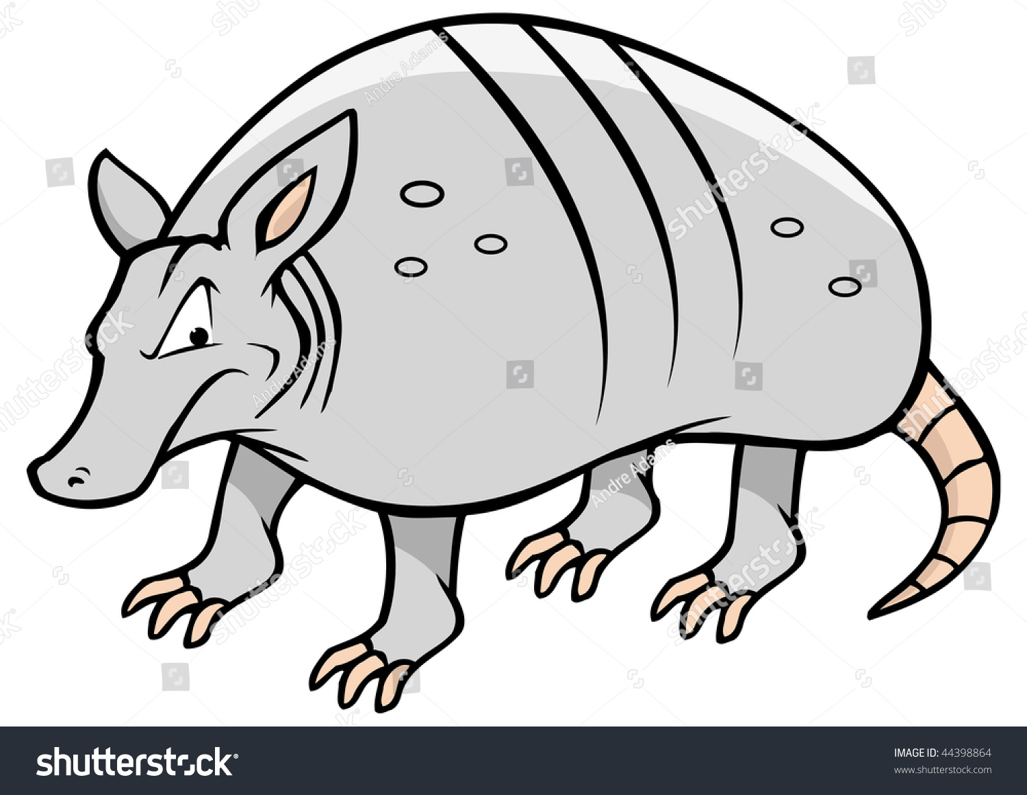 Cartoon Vector Illustration Armadillo Stock Vector 44398864 - Shutterstock