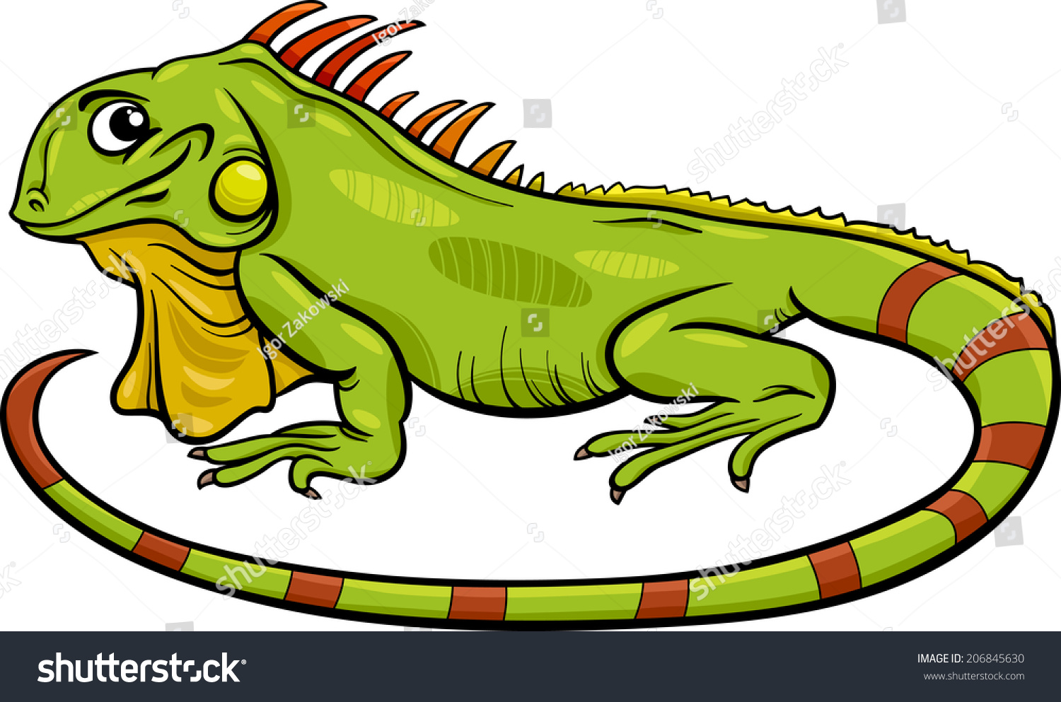 Cartoon Vector Illustration Funny Iguana Lizard Stock Vector 206845630 ...