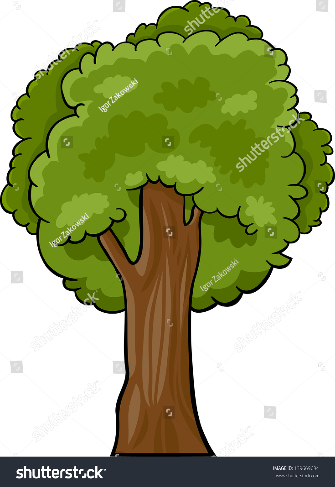 Cartoon Vector Illustration Of Green Deciduous Tree Or Oak, Beech Or ...