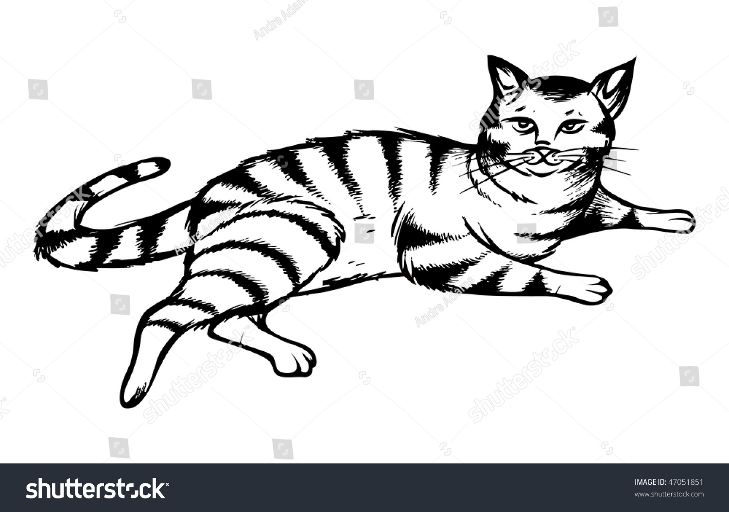 Cartoon Vector Outline Illustration Tabby Cat Stock Vector (Royalty