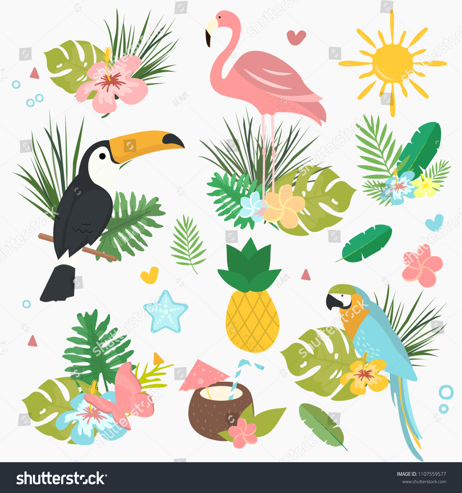 Cartoon Vector Set Exotic Tropical Illustrations Stock Vector (Royalty ...