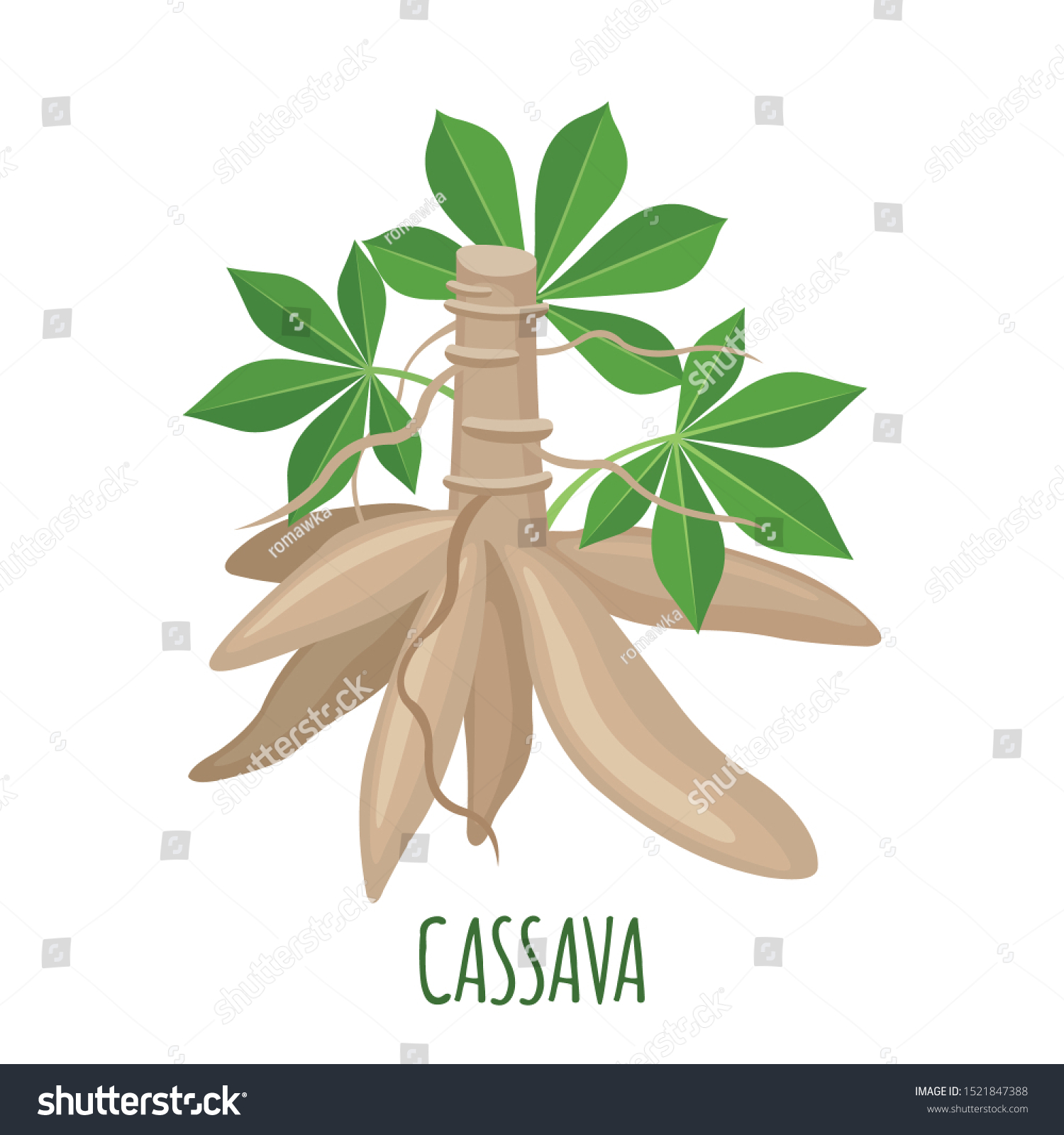 Cassava Plant Icon Roots Leaves Flat Stock Vector Royalty Free 1521847388 0308