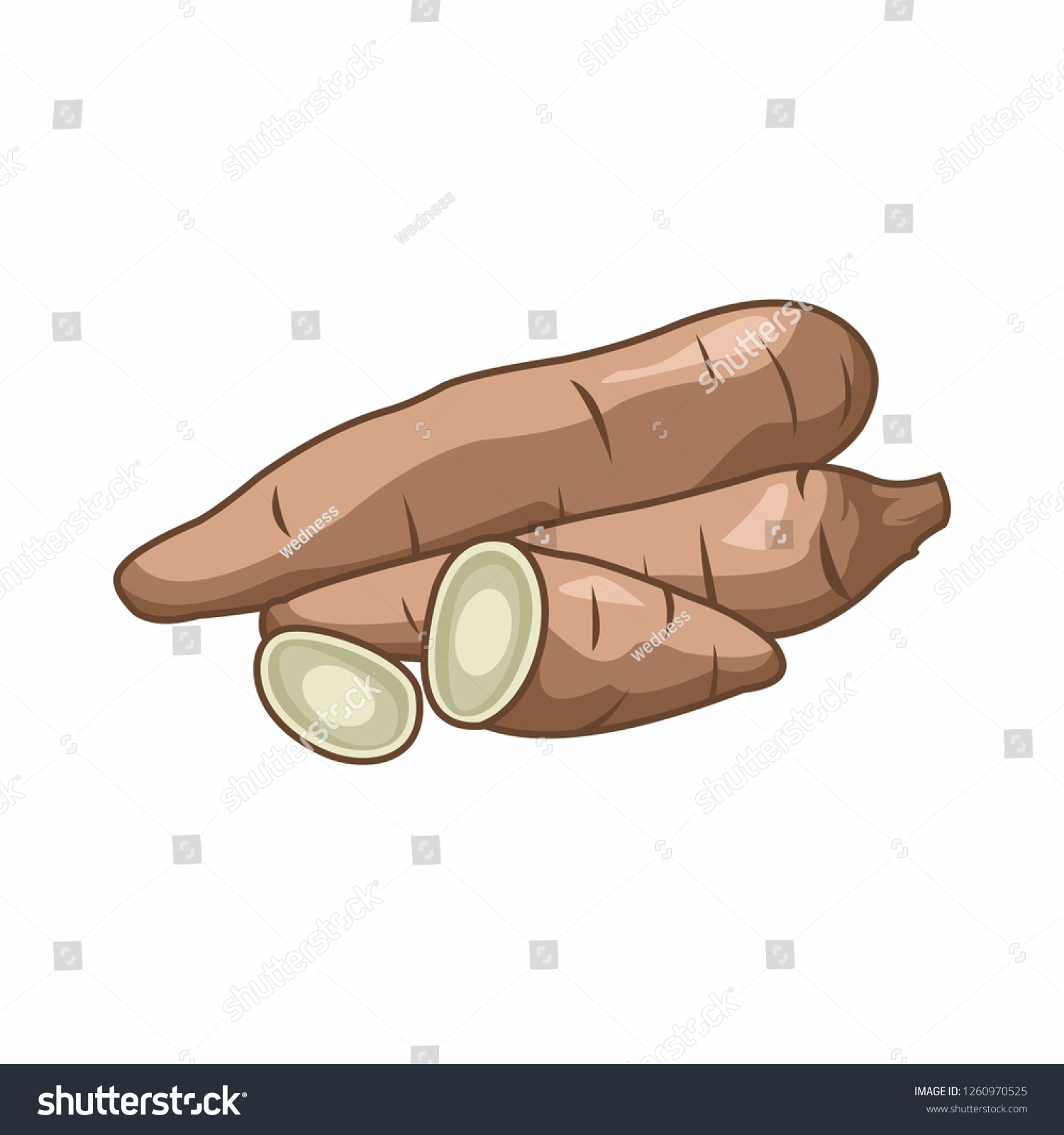 Cassava Vector Illustration Stock Vector Royalty Free 1260970525