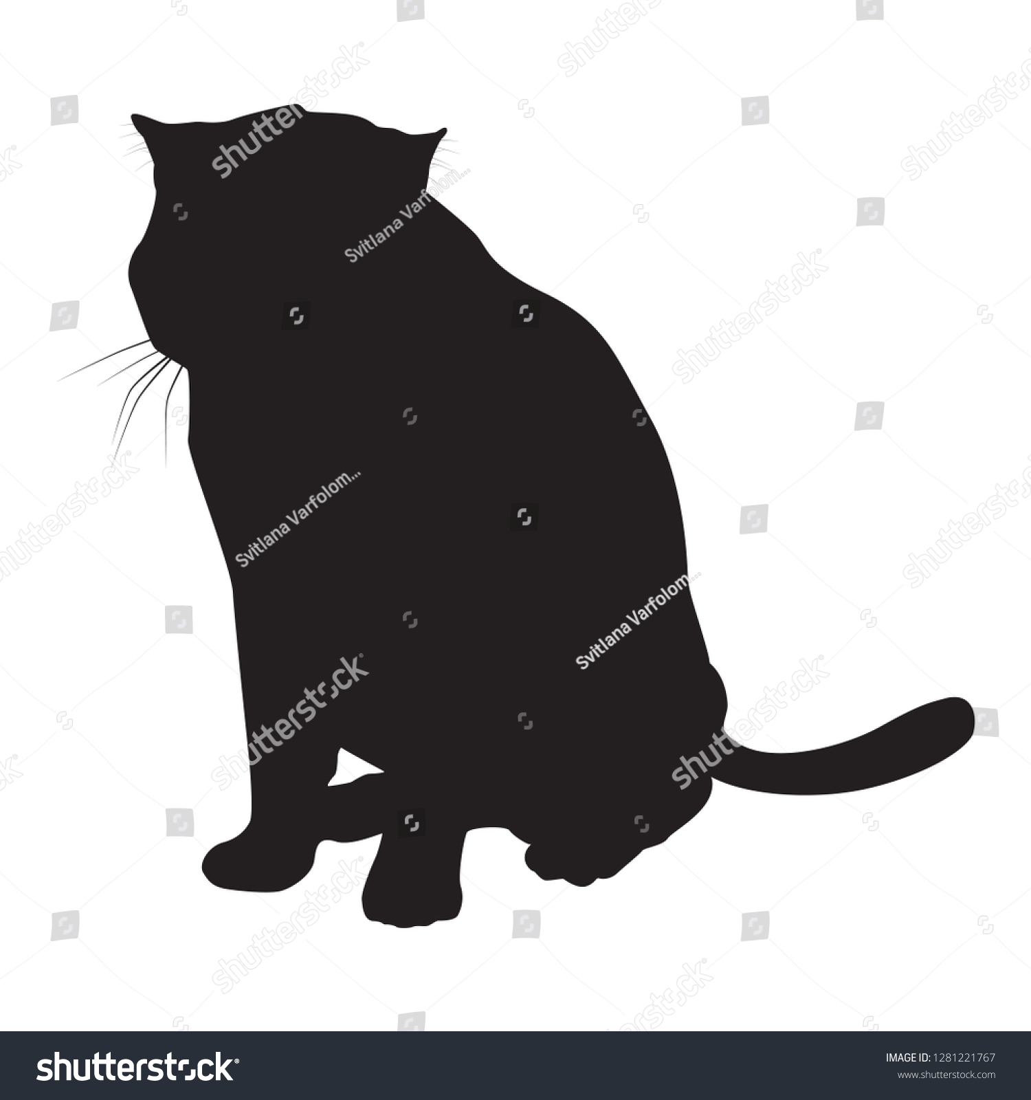 Cat Black Silhouette On White Background Stock Vector Royalty