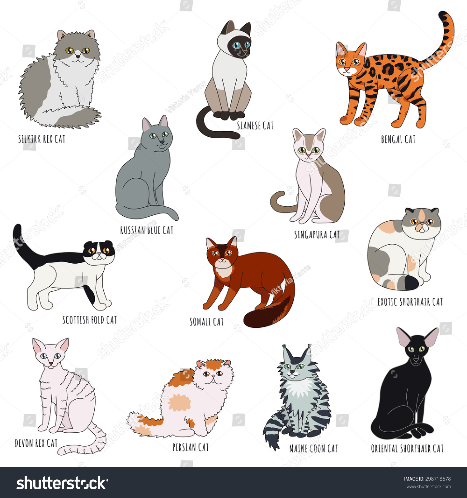 Cat Breeds Cartoon Style Vector Set. Isolated. - 298718678 : Shutterstock