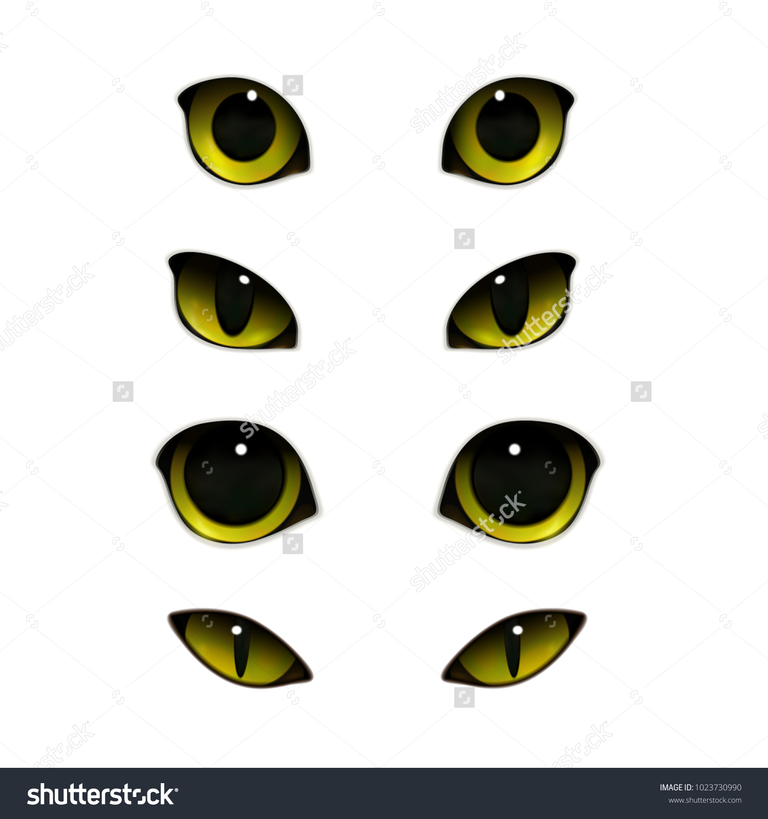 猫の感情の目には 開いたまま半分閉じた猫の目のベクターイラストを使った リアルな画像セット のベクター画像素材 ロイヤリティフリー 猫の感情の目には 開いたまま半分閉じた猫の目のベクターイラストを使った リアルな画像セット のベクター画像素材 ロイヤリティフリー