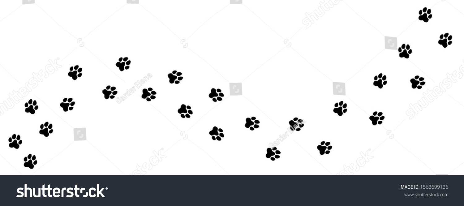 Cats-foot Images, Stock Photos & Vectors | Shutterstock