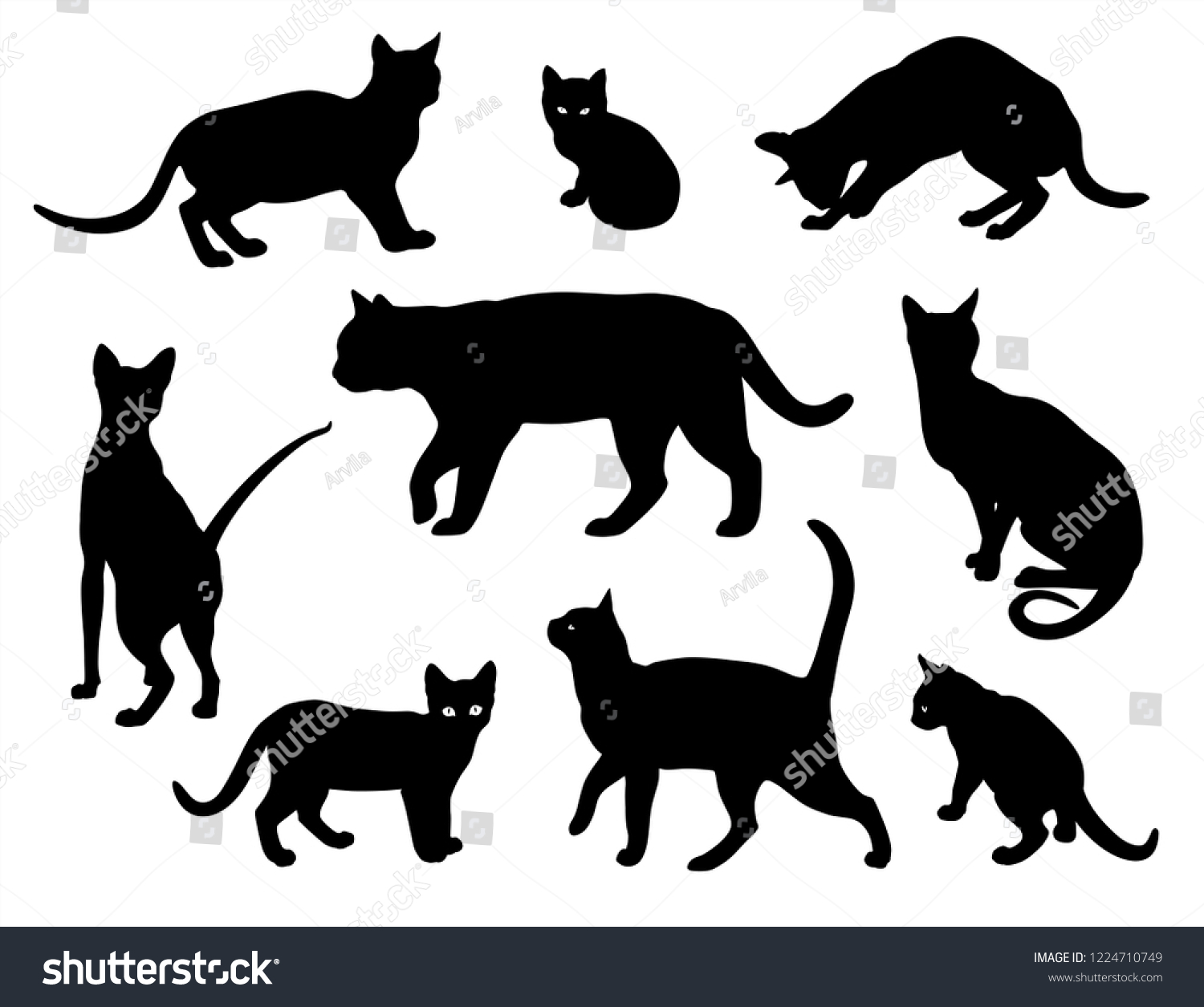 Cat Vector Silhouette Set Isolated On Stock Vector (Royalty Free ...