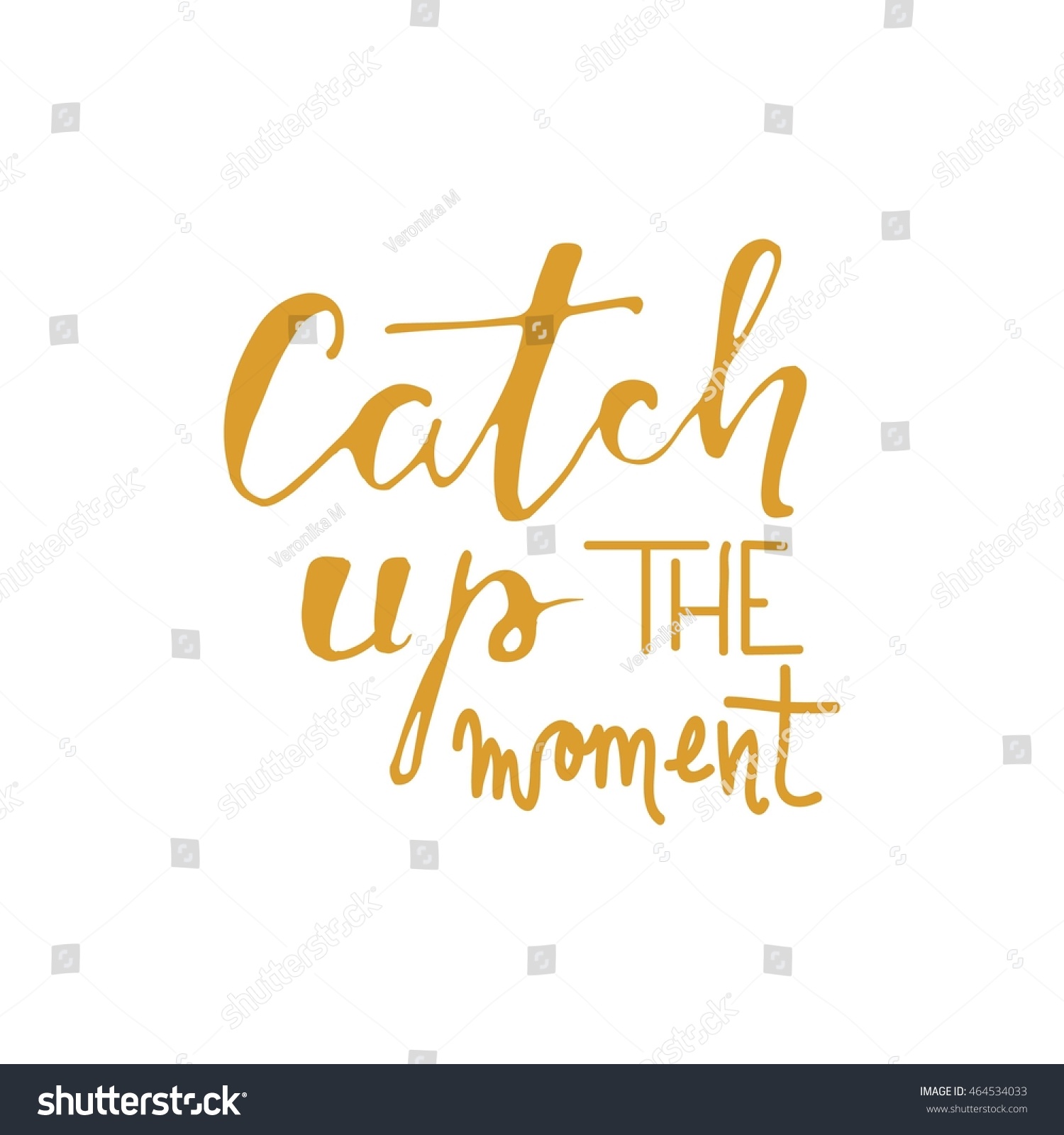 Catch Moment Motivational Quote Hand Lettering Stock Vector Royalty Free