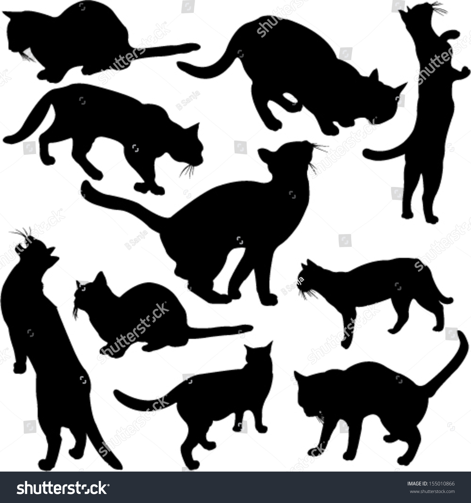 Cats Silhouette Collection - Vector - 155010866 : Shutterstock