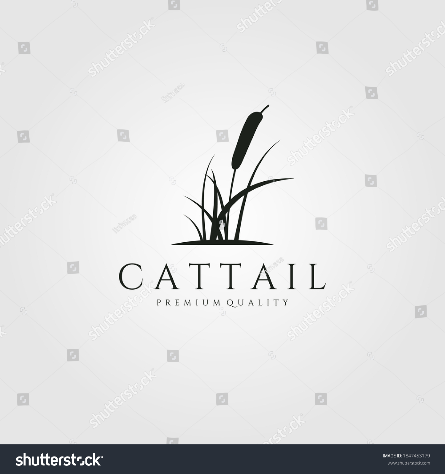 Cattail Stock Vectors, Images & Vector Art | Shutterstock