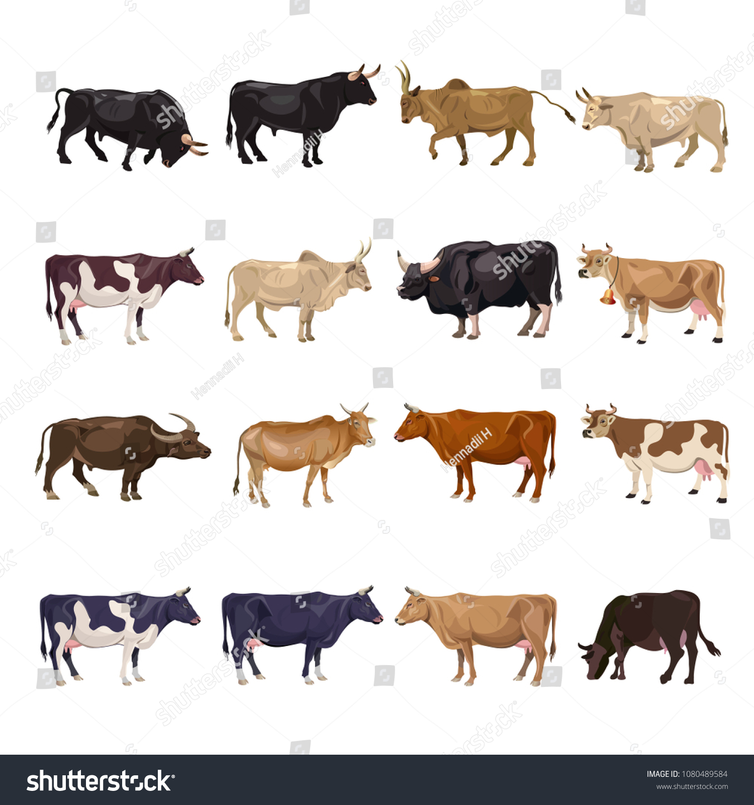 7,732 Realistic cow Stock Illustrations, Images & Vectors | Shutterstock