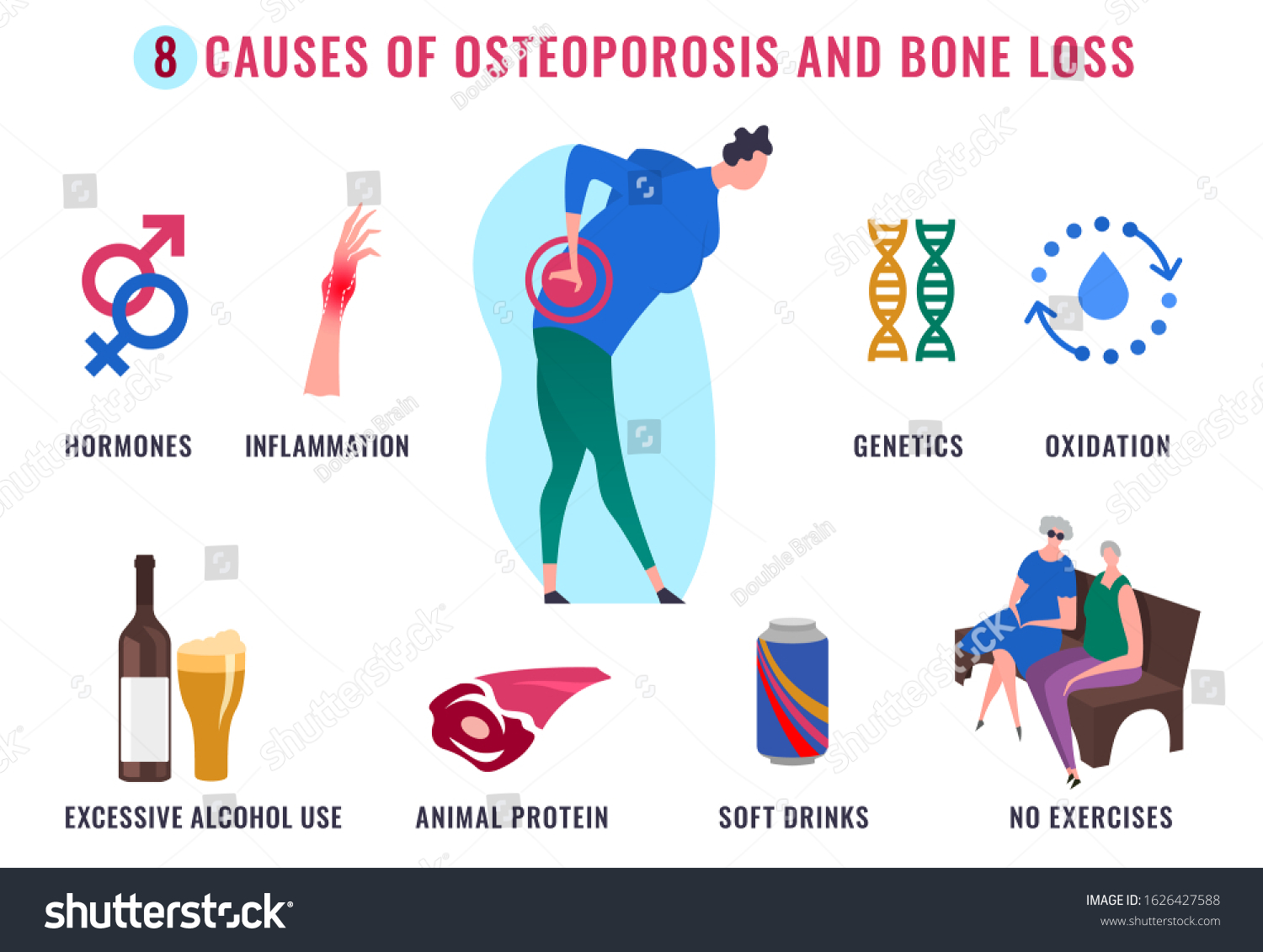 stock-vektor-causes-osteoporosis-bone-loss-medical-infographic-bez