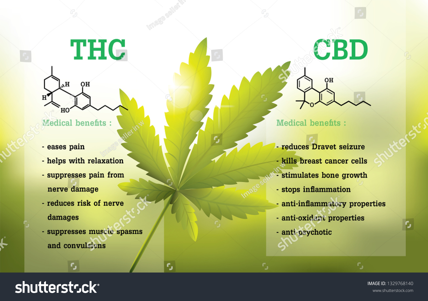 Cbd Thc Chemical Formula Marijuana Infographic Stock Vector (Royalty ...