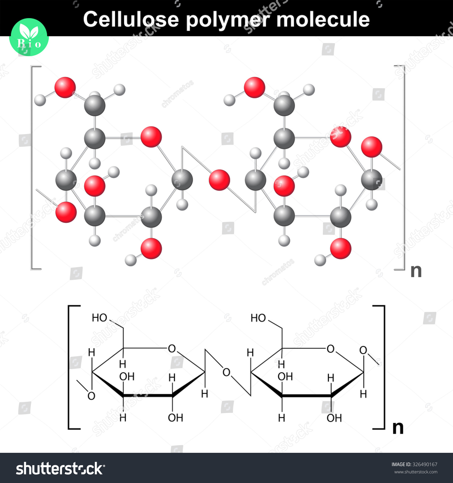 Cellulose Structure Images, Stock Photos & Vectors | Shutterstock