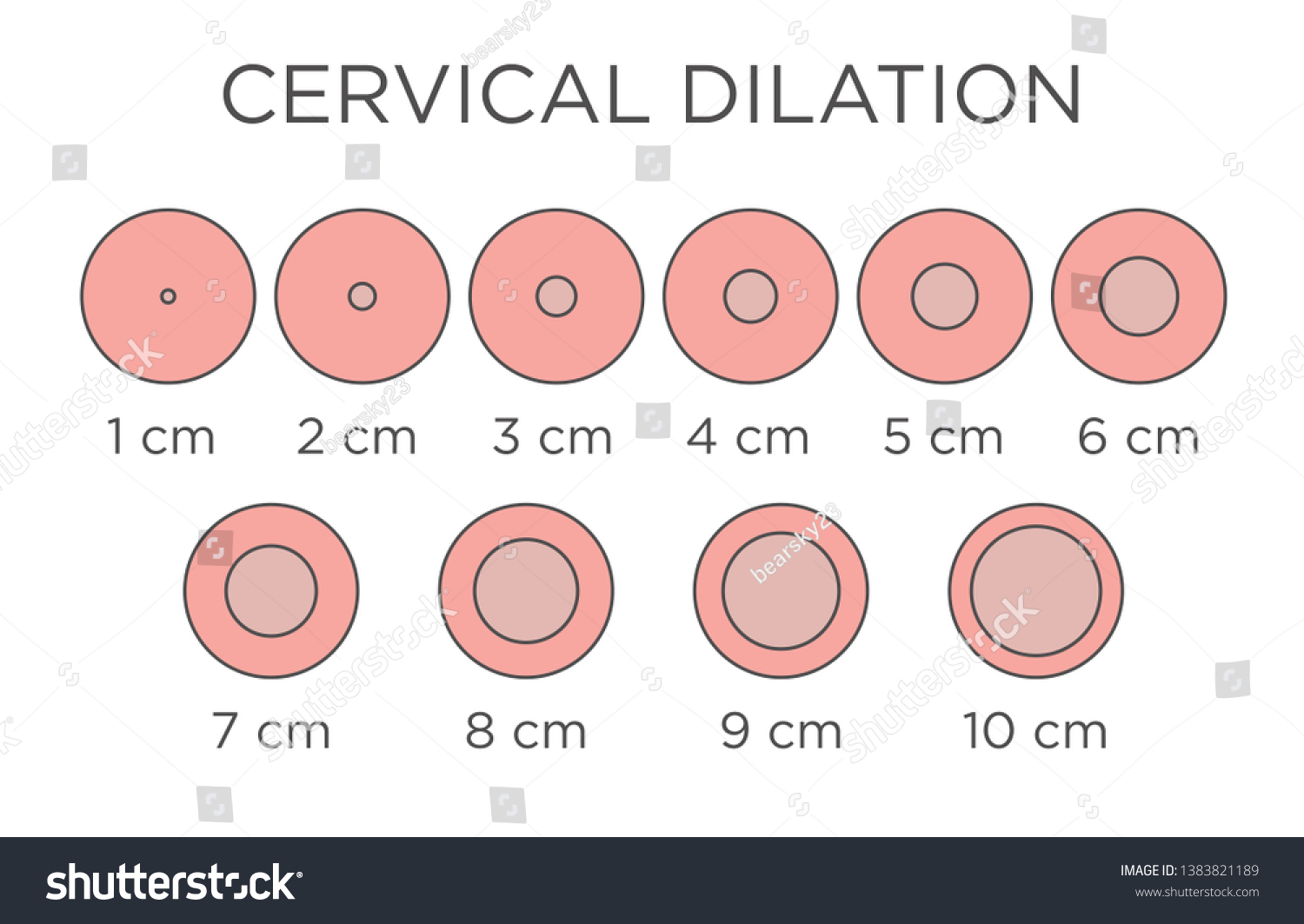 Centimeter Chart For Pregnancy