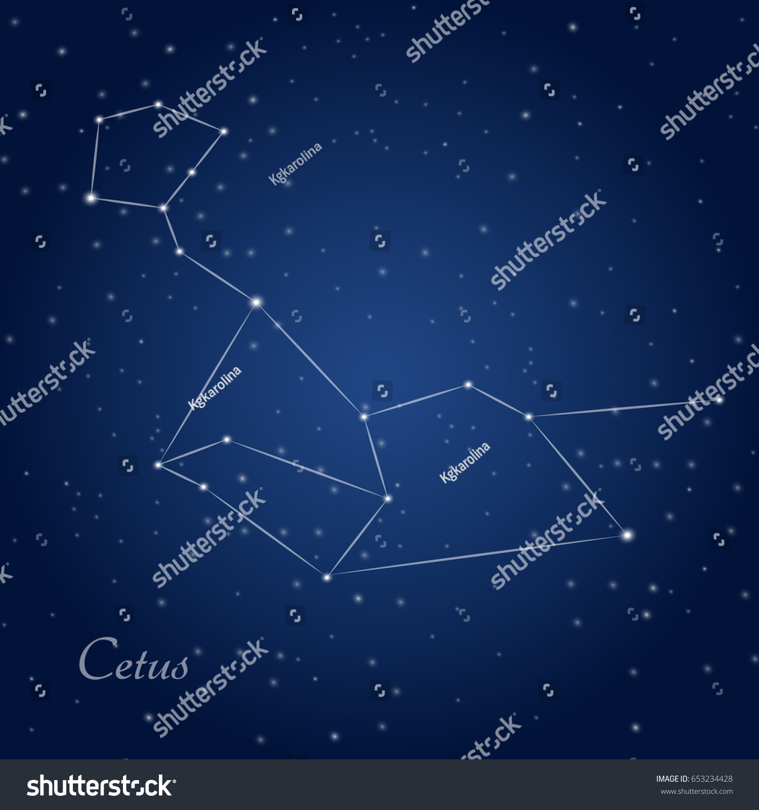 Cetus Whale Constellation Starry Night Sky Stock Vector (Royalty Free ...