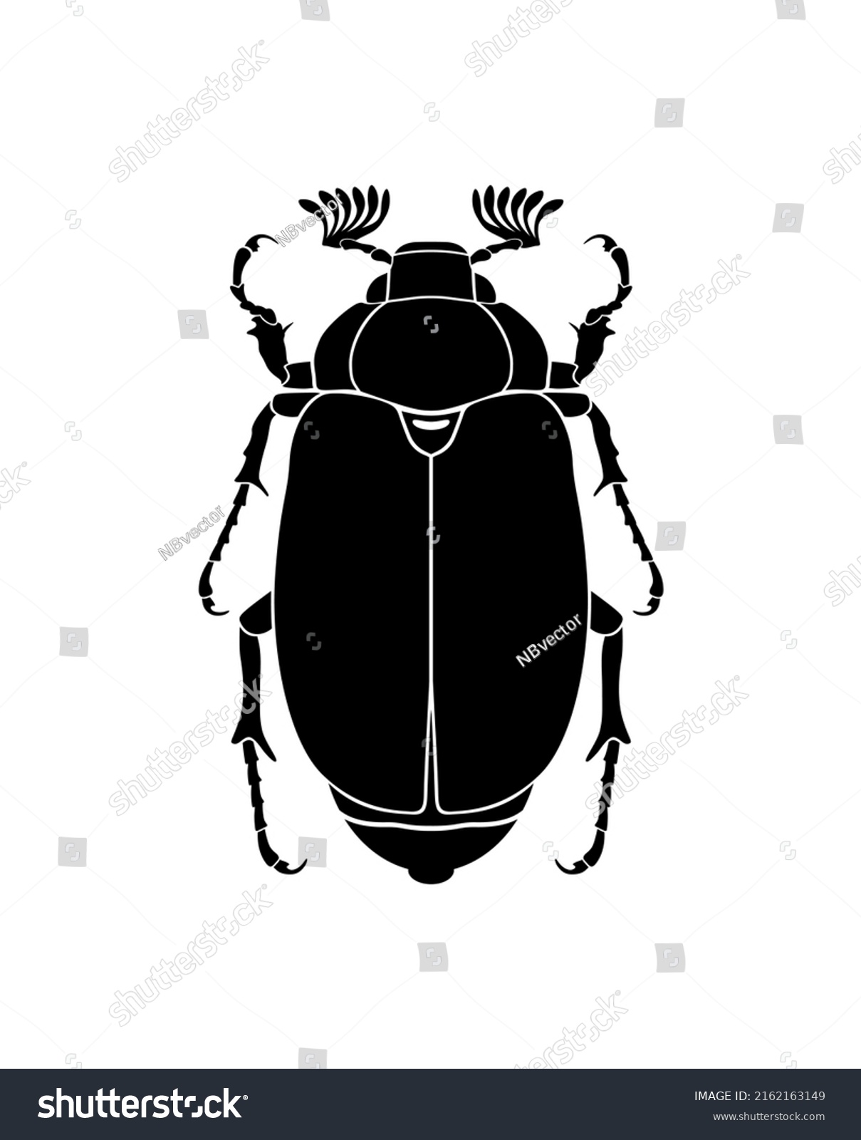 Chafer Black Vector Beetle Silhouette Isolated Stock Vector (Royalty ...