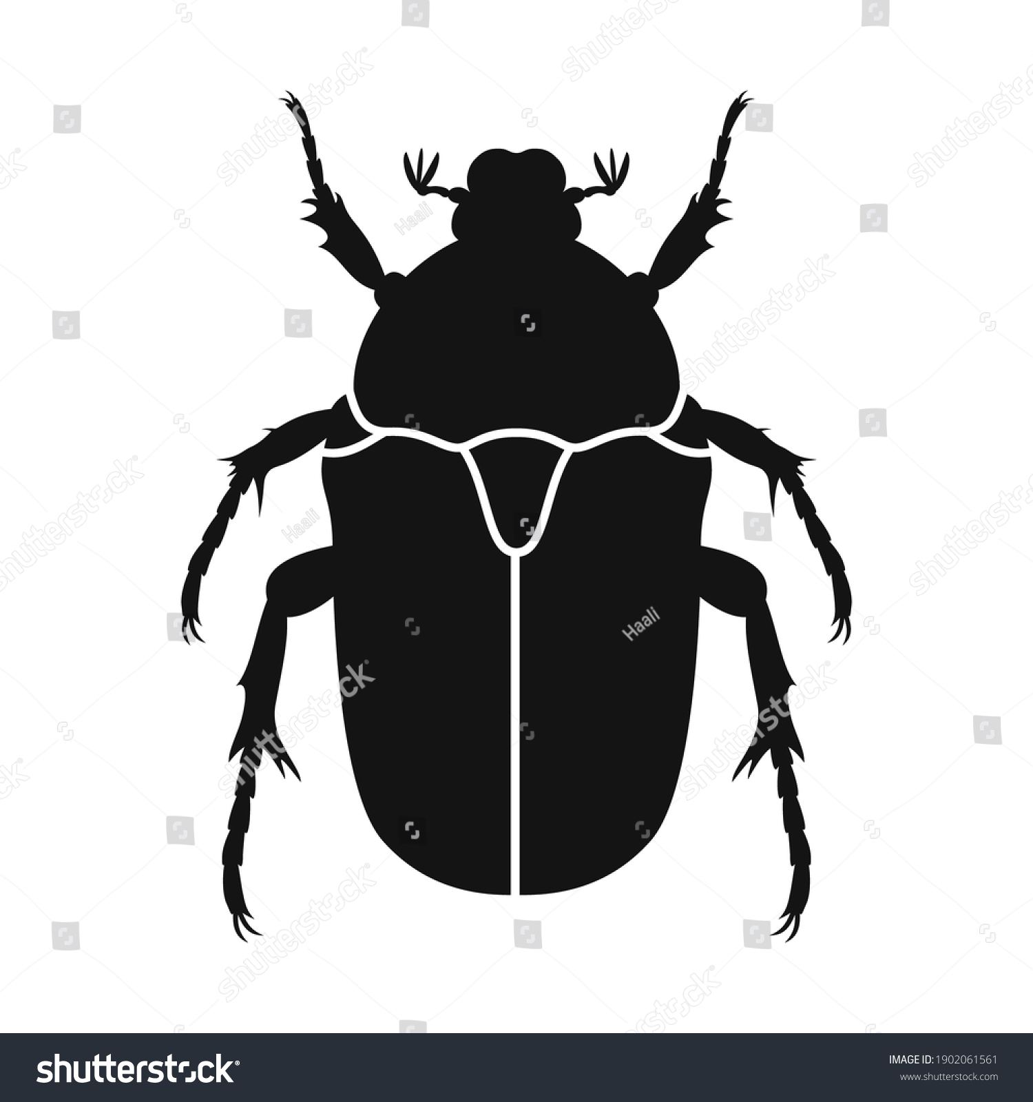 Beetle Images, Stock Photos & Vectors | Shutterstock