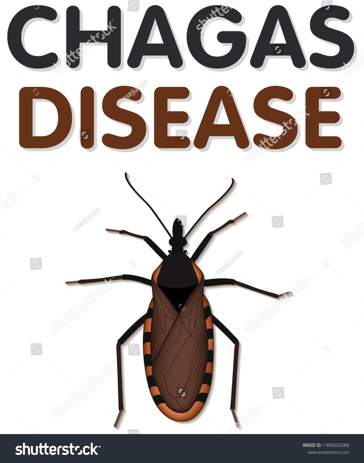Chagas Disease Caused By Parasite Trypanosoma Stock Vector Royalty Free 1400632688 6483